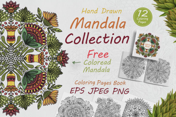 Download Hand Drawn Mandalas in Folk Style Flower - Premium Resources