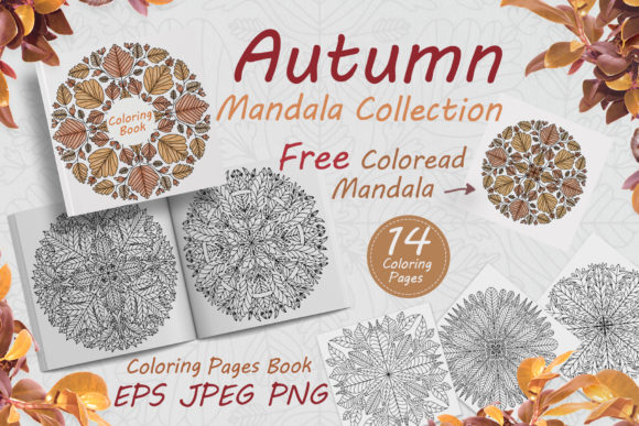 Download Autumn Mandalas Drawn from Leaves - Premium Resources